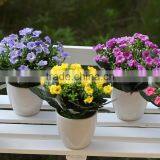 2014 New Design Potted Mini Artificial Fake Flower Wholesale Bonsai Milan Flower