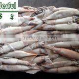 Low Price Squid Liver Powder for Aquatic Feed Additives thumbnail-3