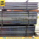 Israel Y Post thumbnail-1