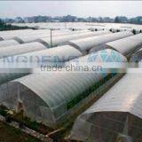 Tunnel Type Plastic Greenhouse thumbnail-2