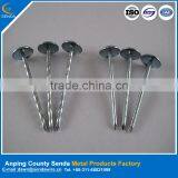 Galvanized Roofing Nails/ Construction Iron Nails thumbnail-1