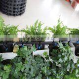 Double Sided Green Wall System for Office thumbnail-3