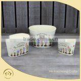 New Design China Flower Pot and Lightweight Planters thumbnail-1