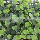 Anti-UV Grass Carpet , Artificial Milan Grass for Wholesale thumbnail-2