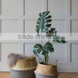 Belly Seagrass Basket/Folding Seagrass Basket, Ecofriendly and Collapsible thumbnail-2