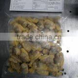 Frozen Clam Meat in Discount and Hot Sale thumbnail-2
