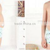 Good Quality Beautiful Boy Kids Kids Thong Underwear Underwear thumbnail-4