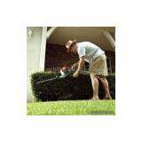 Sell Gasoline Hedge Trimmer (DC-600) thumbnail-1