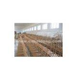Chiavari Chair thumbnail-1