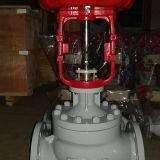 Control Valve, Pneumatic Globe Type Control Valve thumbnail-4
