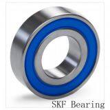 SKF Bearings thumbnail-1