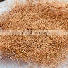 High Quality Coconut Husk Fiber/ Coconut Fiber The Best Of Material With The Very Cheap Price thumbnail-2