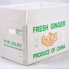 Wholesale PP Corrugated Fruit and Vegetable Packing Boxes thumbnail-2