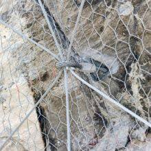 Hexagonal Galvanized Steel Wire Mesh Factory Sale Grid for Snow Avalanche Rockfall Barriers Custom Cutting Processing Service