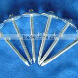 Galvanized Umbrella Roofing Nails Factory