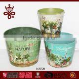 Potted Plants Colorful Window Boxes Shabby Chic Outdoor Planters thumbnail-2