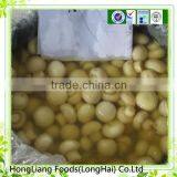 Preserved Inteiro Champignon Mushroom Cogumelo in Tambor thumbnail-1