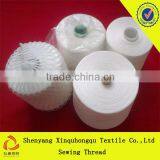T30s/3 China Good Quality100% Yizheng Polyester Thread for Sewing Leather thumbnail-1