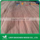 Technical Face Veneer thumbnail-5