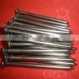 Bright Polished Best Quanlity Common Nails thumbnail-1