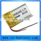 extra small lithium ion rechargeable battery manufacturer