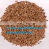Yellow White Sesame Seed thumbnail-1