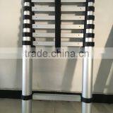 3.2m Aluminium Telescopic Ladder With New EN131-6 SGS
