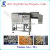 Industrial Vegetable Processing Machine for Sale With High Efficency, QD2000 Vegetable Dicer thumbnail-2