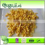 free samples discount whole kernel sweet corn canned 400G