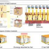 Eye Line Removal Laser Hair Removal Face Lifting  Facial Multifunction Galvanic Spa Beauty Equipment thumbnail-4