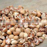 VIETNAM SPLIT BETEL NUT/ SLICE BETEL NUT FOR SALES / WHOLE NUT CROP 2015 thumbnail-1