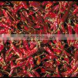BEST QUALITY RED CHILI EXPORTER thumbnail-6