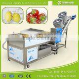 Full Automatic Industrial Vegetable And Fruit Washing Washer and Drying Dryer Machine
