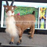 Realistic Taxidermy Replica Figurine Life Size Artificial Goat Model thumbnail-4
