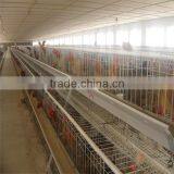 Express Used Poultry Equipment for Sale thumbnail-4