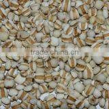 Myotonin Color Sorter Machine thumbnail-3