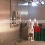 Single Drum Spiral IQF Freezer thumbnail-1