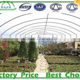 Multi Span Vegetable Commercial Greenhouse Covered By Polythene Film thumbnail-1