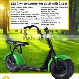 Leadway 18*9.5 Inch Citycoco Harley 2 Seat Cheap Mobility Scooter(L16-04a) thumbnail-6