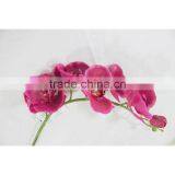Sleek Realistic Decorative Butterfly Orchids Flower Latex Orchid Flower thumbnail-1