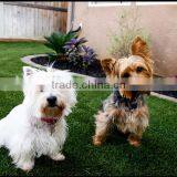 SJ20171602 Wholesale 40*60cm Turf Synthetic Artificial Grass for Garden thumbnail-1