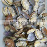 Frozen Whole Cleaned Sea Food Baby Clam With Shell thumbnail-1