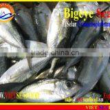 FROZEN BIGEYE SCAD WHOLE ROUND thumbnail-4