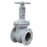 Cast Steel and Stainless Steel Gate Valve