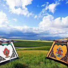 Big Size Easy Fold up Outdoor Travelling Tent Camping Tent for Sale thumbnail-5