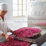 Automatic High Quantity Microwave Vegetable Drying Equipment thumbnail-1