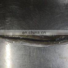 Eel Fillet Frozen Conger Eel Fish Fillet thumbnail-5