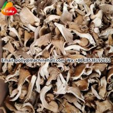 High Quality Dried Oyster Mushrooms Wholesale Price