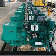 Shanghai DCM Diesel Engine Co., Ltd company overview - view 4 thumbnail