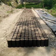 PE Black Plastic Nursery Bags Plant Grow Bag Seedling Pots Sapling Cultivation Bag With Holes For Garden thumbnail-4